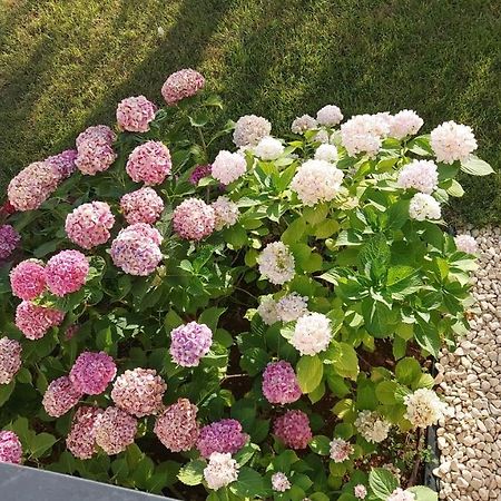 La Casa Di Francesca B&B Con Parcheggio Privato Porto Cesareo Buitenkant foto